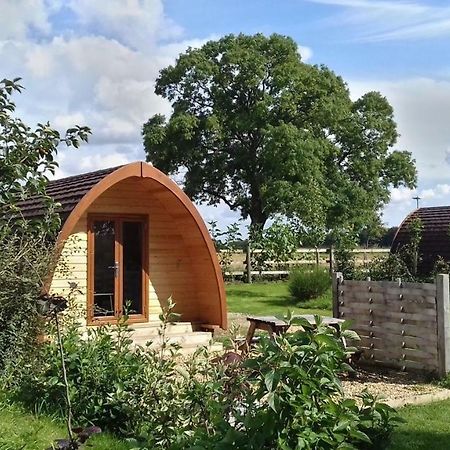 Campion Glamping Pod Hotel Cheltenham Ngoại thất bức ảnh